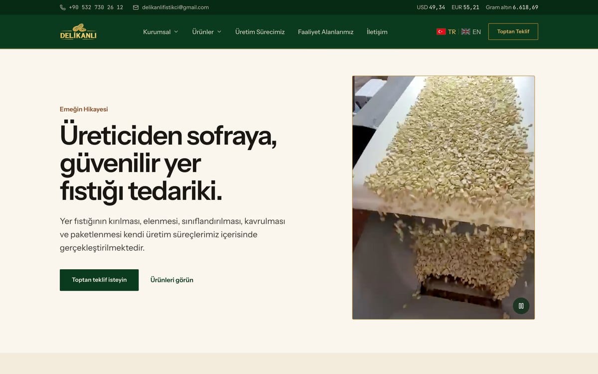 Delikanlı Fıstıkçılık için teslim edilen kurumsal web sitesinin ekran görüntüsü