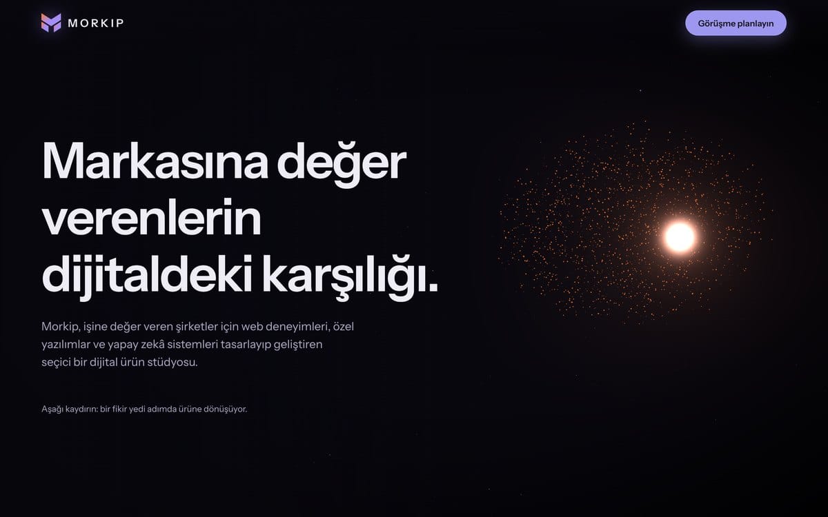 Morkip'in çalışma sürecini anlatan etkileşimli sayfanın ekran görüntüsü